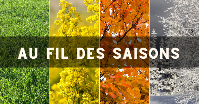 Les paniers garnis de saison : des idées de recettes et de produits à inclure